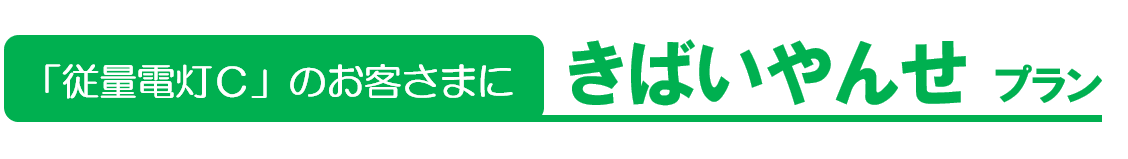 きばいやんせプラン